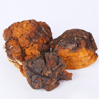 Bai Hua Rong, herbe chinoise, champignon Chaga entier séché, thé en vrac, thé santé