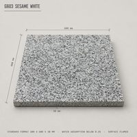 Dalles de pavage en granit blanc sésame G603 600x600x30mm pour aménagement paysager