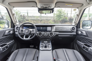 SUV tout-terrain tendance Tank 300, pneus 265/65 R17, vitesse maximale 170 km/h, adapté aux déplacements en extérieur et au quotidien - Product Image 4