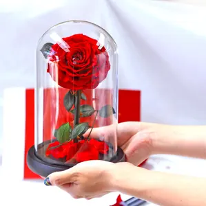 Vendita calda piccolo principe grado A testa di rosa fiore conservato nel vetro con scatole di base per composizioni floreali