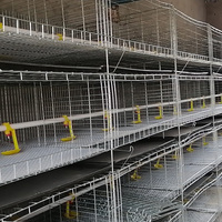 Cage à poulets de type H, cage à poulets pondeuses, cage à poulets de chair, 4 étages, cages à volailles, poussins d'un jour, cage à poulets