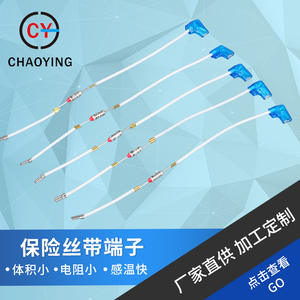 Superhero Fuse <b>Holder</b> 10x20x250mm Temperature <b>Control</b> Home Appliances - Product Image 5