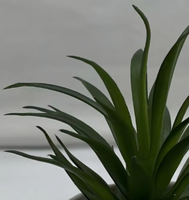 Mini Plantes Succulentes Artificielles en Pot - Écologiques et Résistantes aux UV - Décoration de Thanksgiving et de Noël pour Salle de Bain, Chambre et Bureau