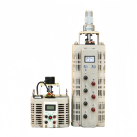 Transformateur variable TDGC2 2 kVA, entrée 220 V, sortie 0 à 250 V, monophasé, autotransformateur toroïdal en cuivre, 50 Hz/60 Hz