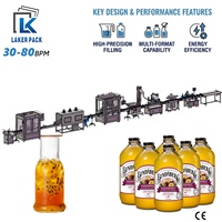 Ligne de production de machine de remplissage automatique de jus de fruit de la passion en bouteille avec piston servo