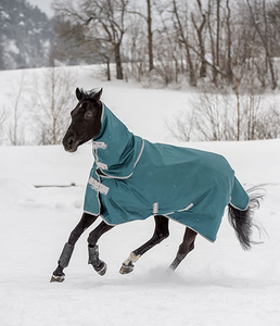Alfombras impermeables y cálidas para caballos en climas fríos hechas de poliéster a medida para la comodidad y el presupuesto - Product Image 3