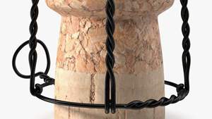 ลวดครอบจุกขวดคุณภาพสูง - ลวดครอบจุกขวดแชมเปญ โปรเซคโก ทนทาน ขายส่ง - Product Image 5