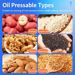 Años de Experiencia en Máquinas Prensadoras de Aceite de Coco y Aceite de Palmiste, Especialistas en Fuentes de Aceite de Cáscara Dura - Product Image 6