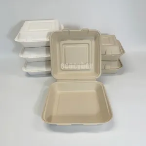 Gran oferta, vajilla desechable personalizada, fiambrera de bagazo de caña de azúcar, contenedor de comida biodegradable, caja de concha de 10 pulgadas