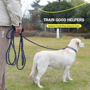 Venta al por mayor de logotipo personalizado al aire libre Nylon mascota cuerda Correa perro - Product Image 3