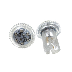 Lumière automatique pour manèges E14 24V, LED pixel 6 points 26mm, pour Forain, Burbuja, Manèges de Parc d'Attractions, Grande Roue LED RGB, à vendre - Product Image 1