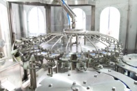 Mini ligne de production automatique intelligente de remplisseuses de liquides d'eau potable en PET pour petites entreprises