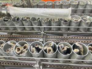 أسماك معلبة مأكولات بحرية معلبة في محلول ملحي من مصنع الأسماك المعلبة بأفضل سعر ممكن - Product Image 5