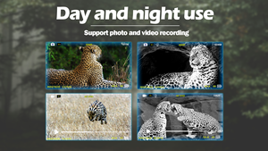 Binoculares de visión nocturna con pantalla de visualización grande de 4 "Imagen 4K Video Gafas de visión nocturna infrarrojas digitales Oscuridad para caza - Product Image 6