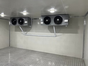 Cámara Frigorífica de Congelación y Refrigeración Comercial Tipo Walk-In para Almacenamiento Frío - Product Image 5