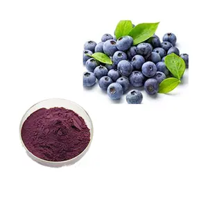 Pure High Quality Factory Supply Bilberry Freeze Dried Powder