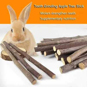 Lot de 10/15/20 pièces pour hamster <span class=keywords><strong>lapin</strong></span>, ponçage des dents, bâton de pommier, minéraux molaires, jouets en bois, pour chinchilla hamster, accessoires pour animaux de compagnie - Product Image 5