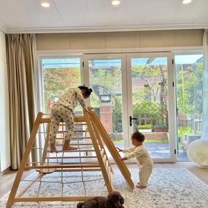 Aire de jeux intérieure Jungle Gym Jouets d'escalade pour bébés Montessori Style Waldorf Ensemble de jeu en bois pour enfants - Product Image 2