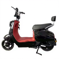 Vélo électrique à assistance au pédalage sans balais haute puissance 500W 48V, longue autonomie, plusieurs couleurs, transport urbain