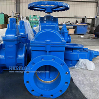 BS5163 DN250 150mm 300mm personnalisé PN16 fonte ductile à bride OS & Y vanne prix compétitif