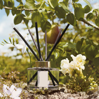 Diffuseur d'ambiance artisanal pour aromathérapie, purificateur d'air sans chaleur, diffuseur à bâtonnets 165 ml, parfum Poire Britannique et Freesia, coffret cadeau Saint-Valentin