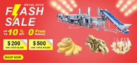 Joyshine Fabriek Aangepaste Gember Wassen Tot Drogen One-Stop Apparatuur Fruit En Groente Verwerkingslijn
