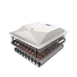 Jiatai 56/104/152/200 Trứng Đầy Đủ Tự Động Điện Kép 56 Trứng Gà Lồng Ấp - Product Image 5