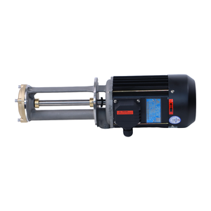 Bomba de agua y aceite caliente vertical de una etapa, precio de fábrica en China, para mantenimiento de temperatura - Product Image 1