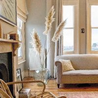 Reed Nordic bunga abadi kering, properti pernikahan latar belakang Studio lanskap untuk dekorasi rumah lantai bunga kering