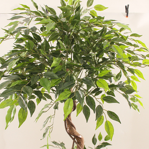 ต้นเบนจามินเทียมต้นไม้ <span class=keywords><strong>Ficus</strong></span> เทียมสำหรับตกแต่งบ้านต้นไม้ไทรเทียม - Product Image 4