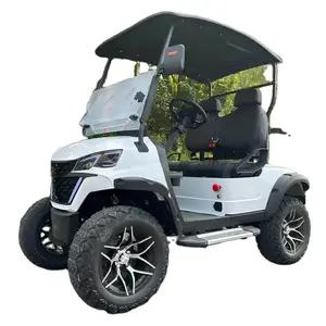 China supplier wholesale price Factory direct sales golf buggy C model 2 seats golf cart