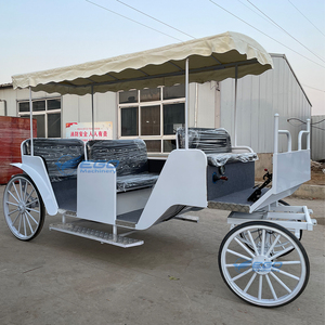 Chariot de tourisme à chevaux en promotion – Plusieurs styles, chariot royal de tourisme de haute qualité - Product Image 4