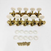 HIVE Double-hole Steel Column Gold White Small Round Head 1:15 10-string 5R5L 5-in-line Guitar Tuning Peg Accessories