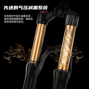 Fourche avant de vélo de montagne Bolany 20 pouces avec suspension pneumatique et réglage du rebond, axe QR - Product Image 1