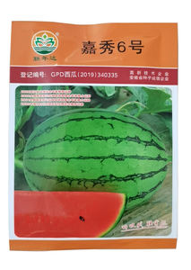 بذور البطيخ حزمة رؤية عالية السرعة VC303 pcst/دقيقة - Product Image 4