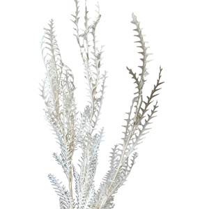 Venta de Fábrica, Hoja de Diente de Sable Eterna, Flores Secas Preservadas, Decoración para el Día de San Valentín, Larga Duración, Preservación de 3 a 5 Años - Product Image 1