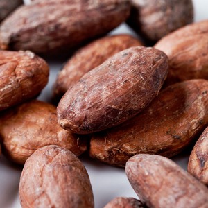 Organic Indonesian Cocoa <b>Beans</b> Bold Deep Taste Roasted & Dried Raw Chocolate & Gourmet Baking Blends Packaged in Bag - Product Image 2