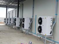 XMK 5HP 8HP 10HP 15HP utilisation économe en énergie compresseur à défilement unité de réfrigération refroidi par air fermé type-20-8C stockage à froid
