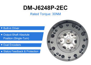Gearbox Harmonic Drive DAMIAO DM-J6248P-2EC untuk Kontrol Industri, Motor Servo untuk Sendi Robot, Reducer Kompak - Product Image 6
