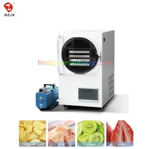 DZJX 1 2 3 4 5 6 7 8 Kg 10Kg 100Kg 1000Kg Mini Vacuum Freeze Dryer Trade Small Lyophilizer For Home Use