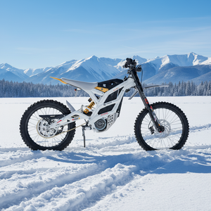 Falcon-GT <b>72v</b> 95km/h 16.8kw 610n.m Torque Lithium <b>Battery</b> Aluminum Dirt Bike - Product Image 1