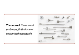 Sonda de Temperatura Rosemount 0065 214C con Termopar RTD y Tubo Termoeléctrico 114C 0304 0305 0306, OEM ODM ABS IP68, Garantía de 18 Meses - Product Image 1