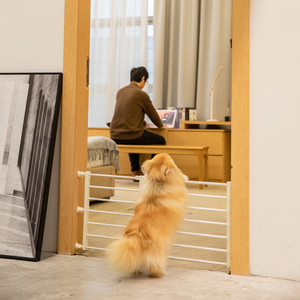 Barrière d'isolement pour animaux de compagnie de haute qualité, clôture pour chiens et chats, barrière de sécurité pour l'intérieur, cage pour chien - Product Image 5