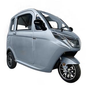 <span class=keywords><strong>Scooter</strong></span> électrique Enclsoed <span class=keywords><strong>3</strong></span> <span class=keywords><strong>roues</strong></span> Elder Cabin <span class=keywords><strong>Scooter</strong></span> Mini Car pour les pays européens - Product Image 1