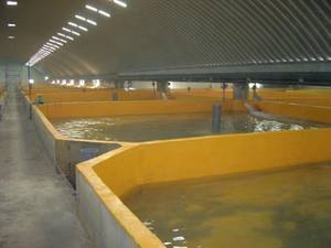 Pintura de poliurea de dos partes para estanque de peces y camarones, revestimiento impermeable - Product Image 3