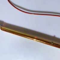 Lampe chauffante infrarouge halogène dorée de 350 mm, 220 V, 1000 W, alimentée par l'énergie solaire, pour l'extérieur, pour porcs, air, eau