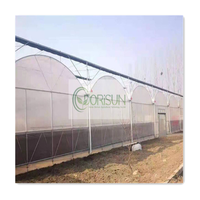 Contrôleur de température pour Green House chariot électrique pour serre tourbe Polly serre potager couvre avec cadre