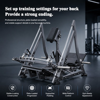 Máquina de remo lineal con carga de placas para entrenamiento de espalda, equipo de gimnasio comercial