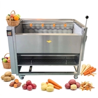Wasmachine voor fruit en groenten, commerciële borstelrol-schiller en -wasser