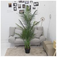 Tanaman Palsu JIAWEI Grosir Pohon Plastik Hijau Pot Plastik Buatan Ruang Tamu Bonsai Kecil Bunga Mawar Tahun Baru Hari Valentine
